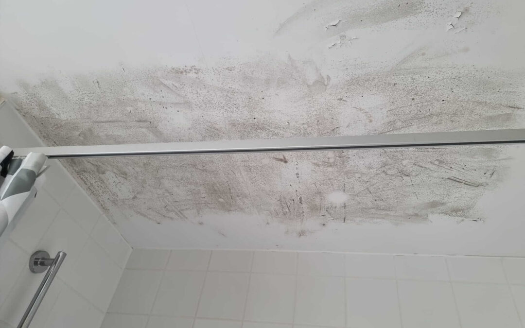 Missing insulation over bath causes mould