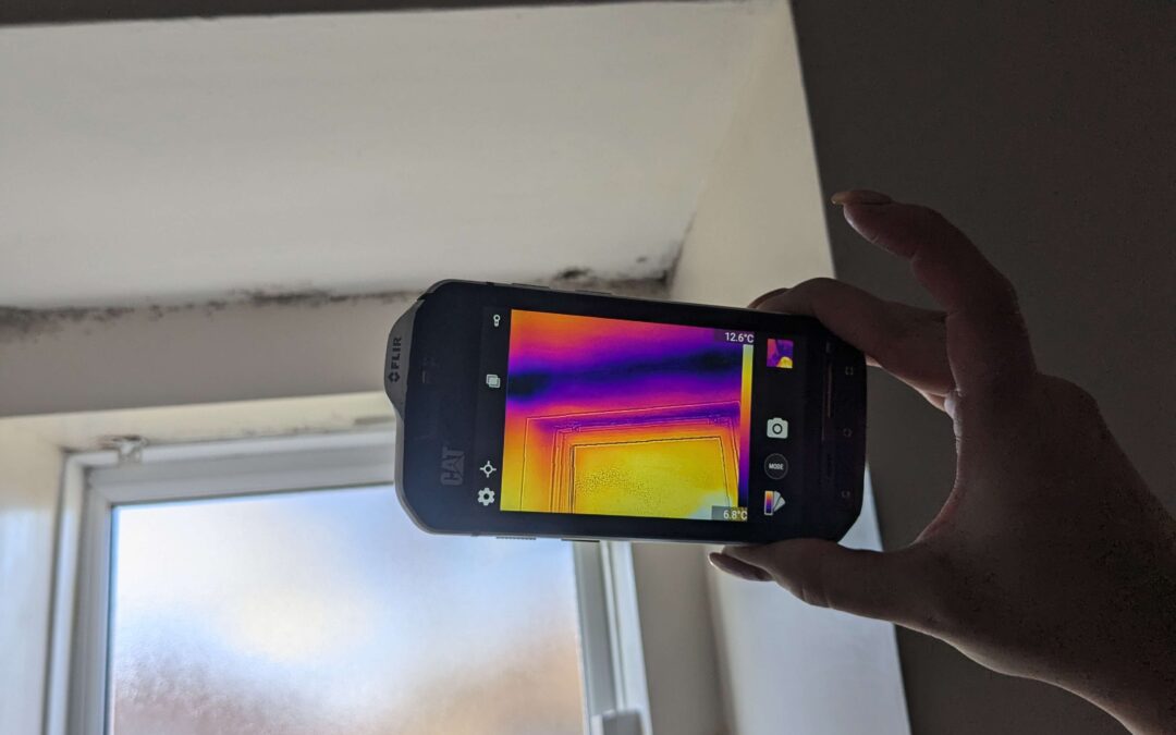 Mould above window