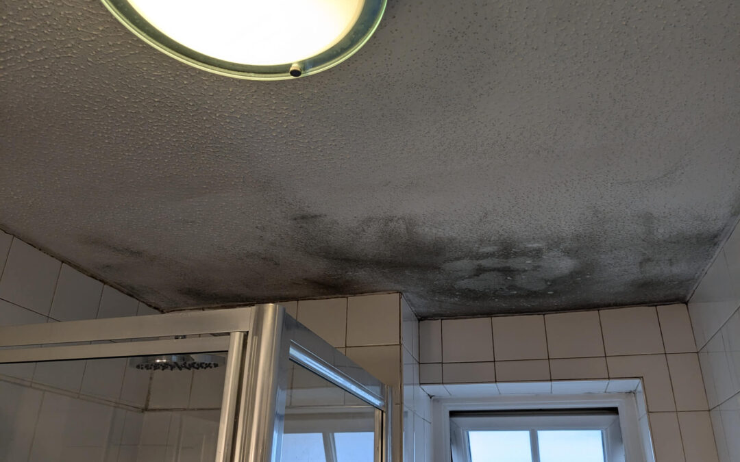 Mould bathroom ceiling
