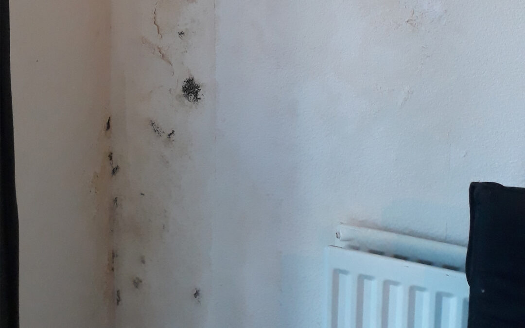 Damp in the upstairs flat lounge wall